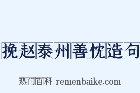 挽赵泰州善忱造句是什么意思的图片